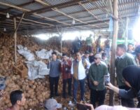 Komoditas Kelapa Sumsel Tembus Pasar Global