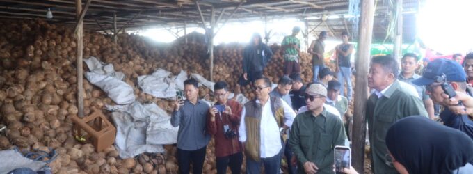 Komoditas Kelapa Sumsel Tembus Pasar Global