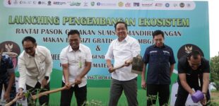 Pemprov Sumsel, BI dan DJPb Luncurkan Ekosistem GSMP-MBG