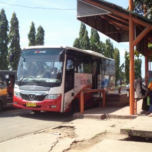 bus-transmusi-jpg