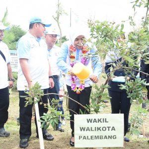tanam-pohon