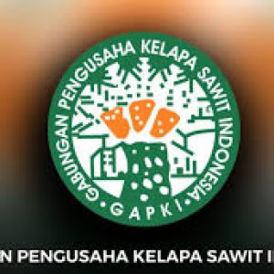 logo-gapki