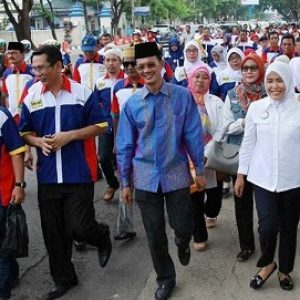 DPC PDIP