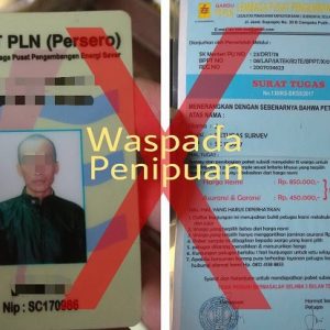 PLN WS2JB