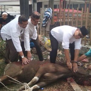Poto Penyembelihan hewan kurban DPD PDIP Sumsel