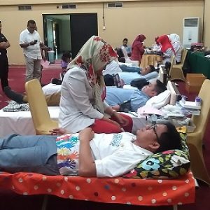 donor darah inna