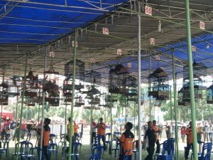 IMG-20180819-WA0055