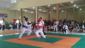 taekwondo