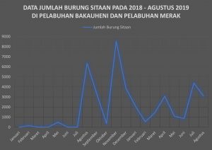 burung