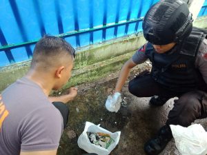 IMG-20191209-WA0018