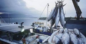 import ikan