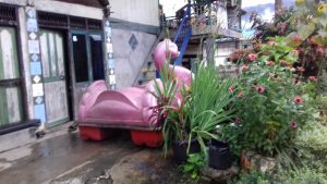 IMG-20200216-WA0011