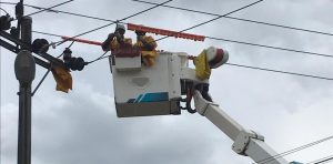 pln