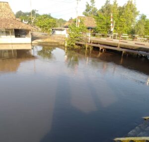 IMG-20220806-WA0039