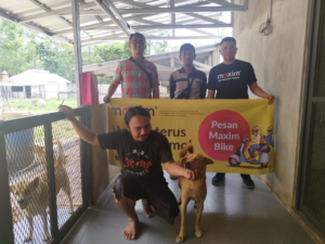 Maxim Rayakan World Animal Day Dengan Berbagi Kepada Anjing Terlantar di Palembang Dog Shelter