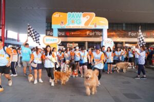 Foto 1 (1)